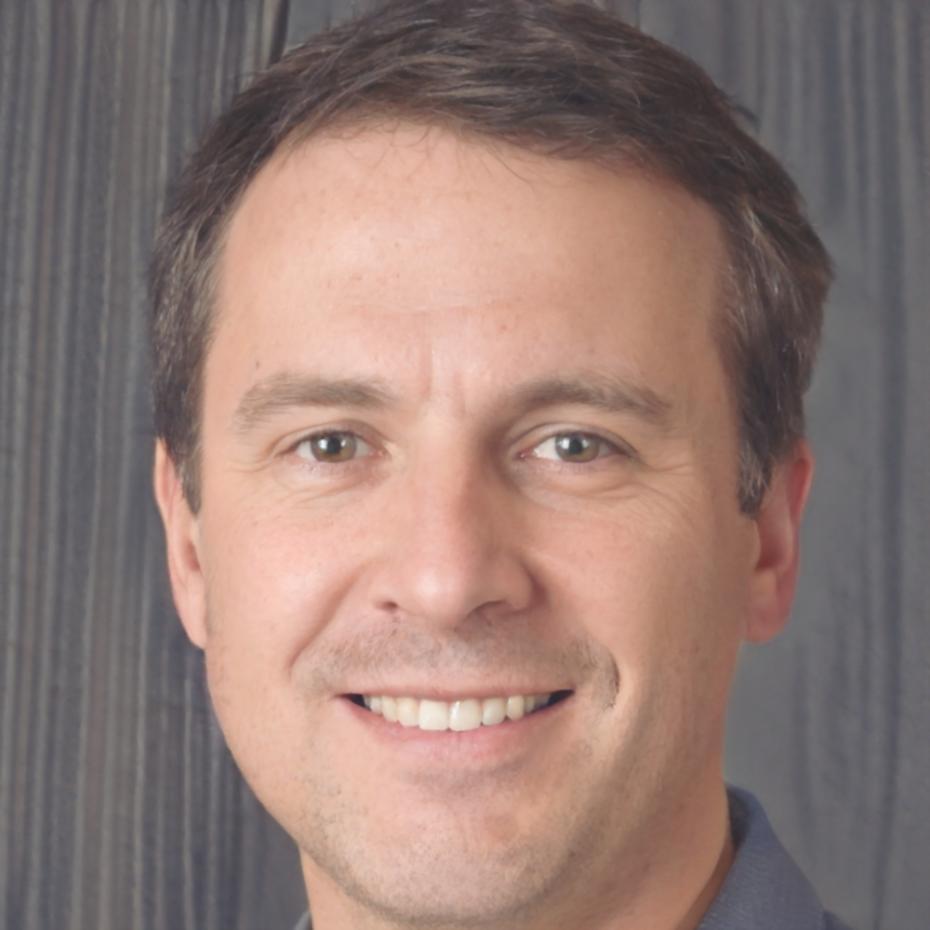 Lennart Voss, Risikomanagement Berater